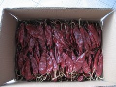 Yidu Chilli