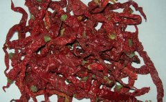 Xi'an Chilli