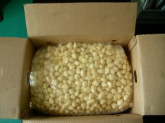 Fresh Garlic Cloves